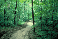 trail